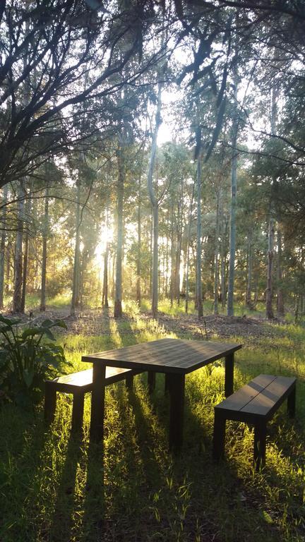 Redgate Forest Retreat Witchcliffe Extérieur photo